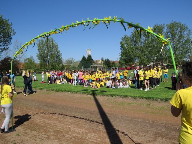 Nárcisz futás 2018 020